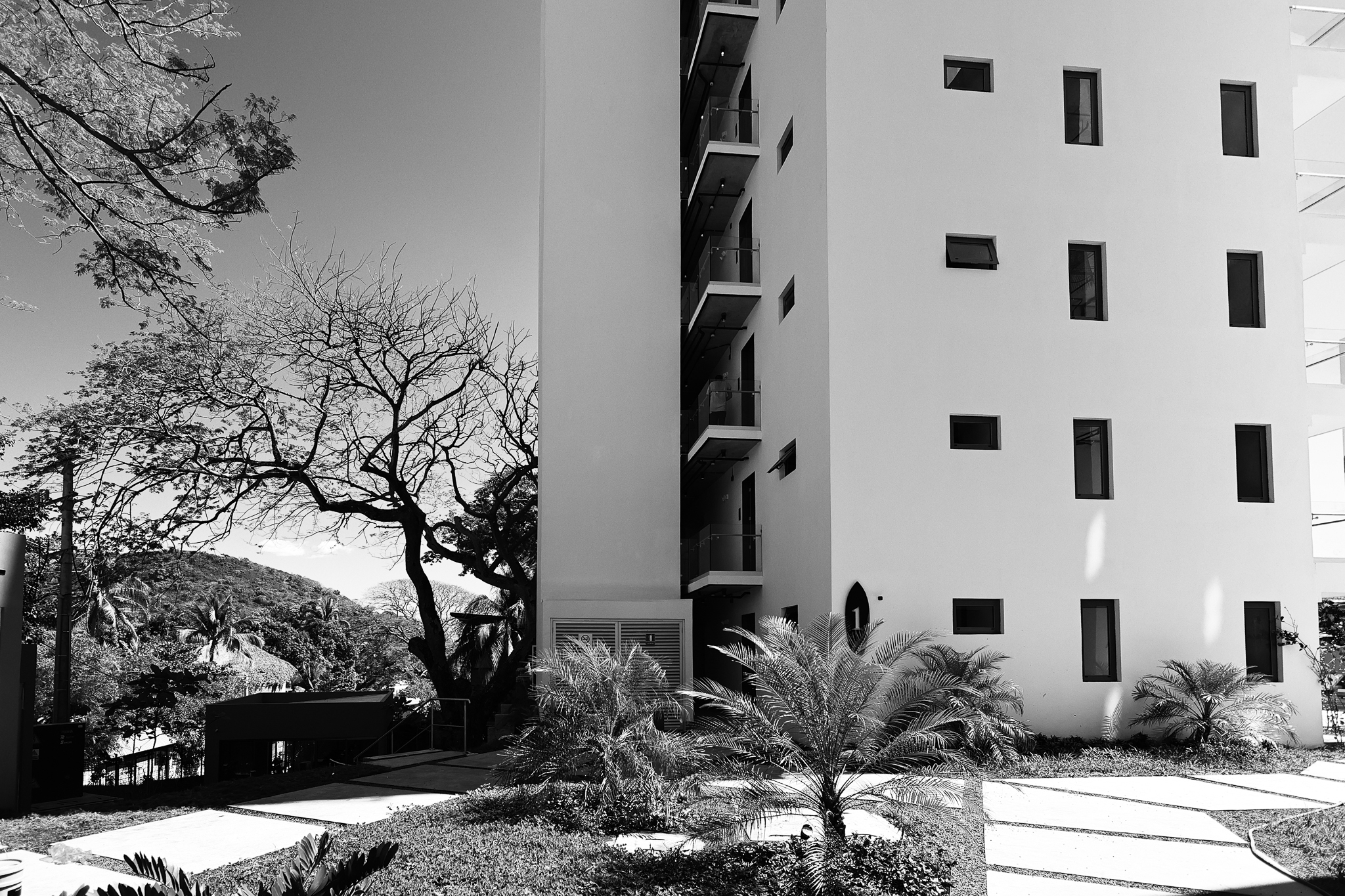 Fachada lateral de edificio moderno con vegetación en primer plano.