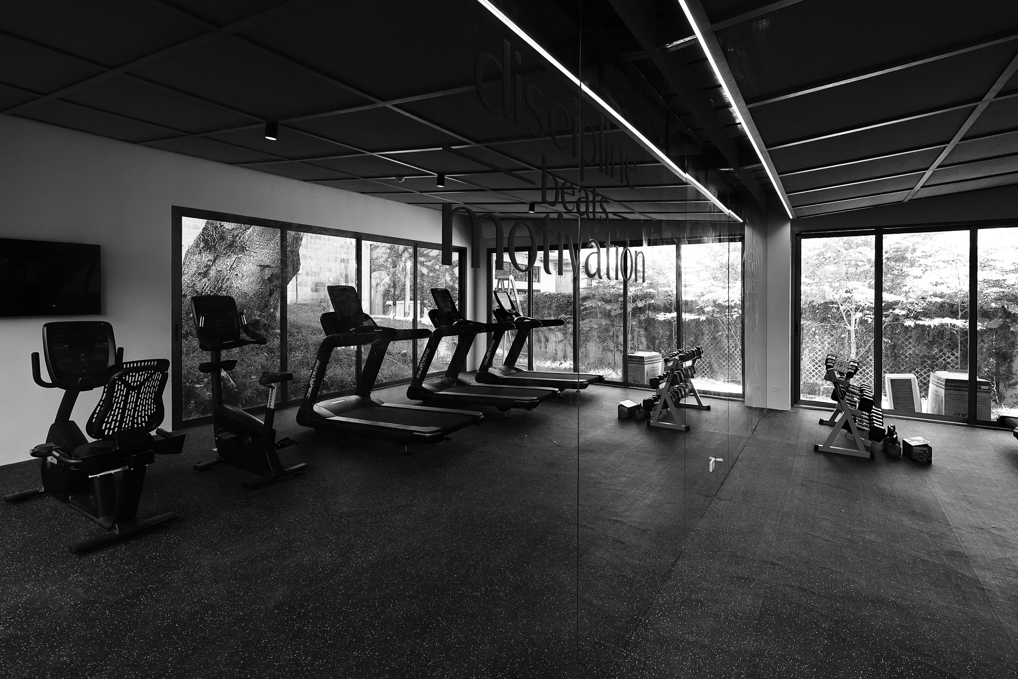 Modern gym with cardio equipment and natural light.